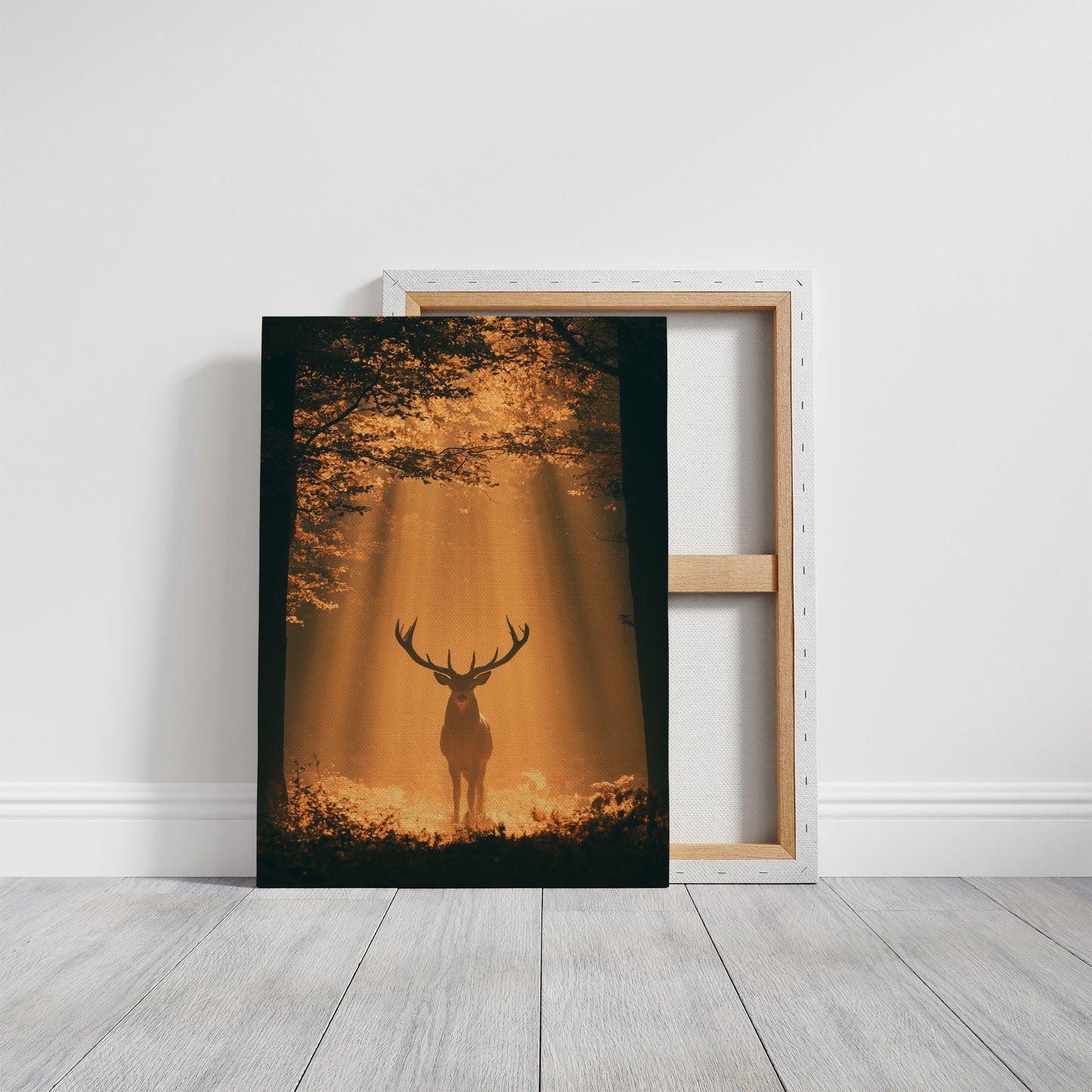 Where the Light Finds the Forest King