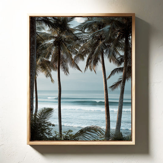 Tides Dance Beneath Tall Palms