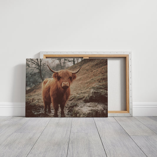 Highland Morning Mist And Stone