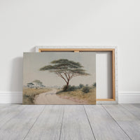 Acacia Bends Over Winding Path