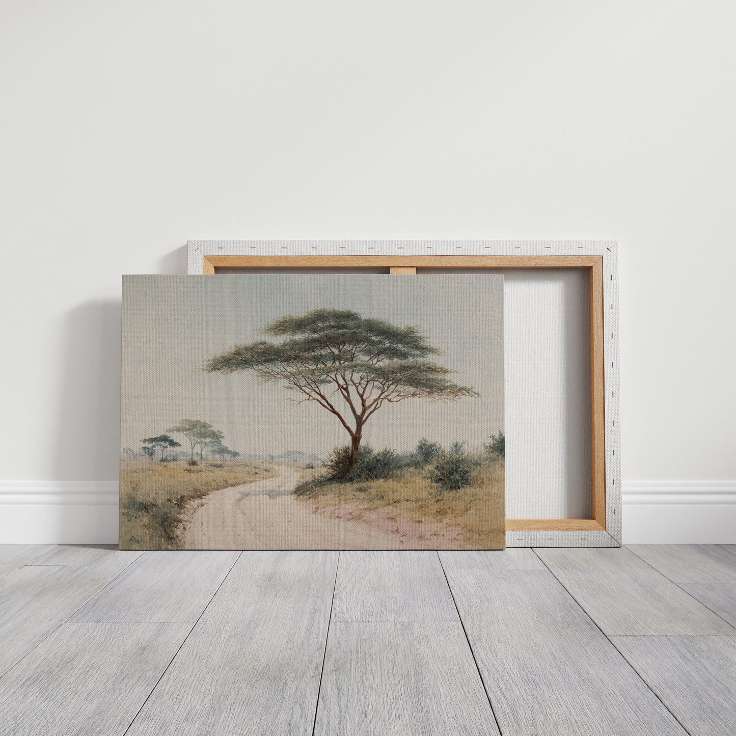 Acacia Bends Over Winding Path