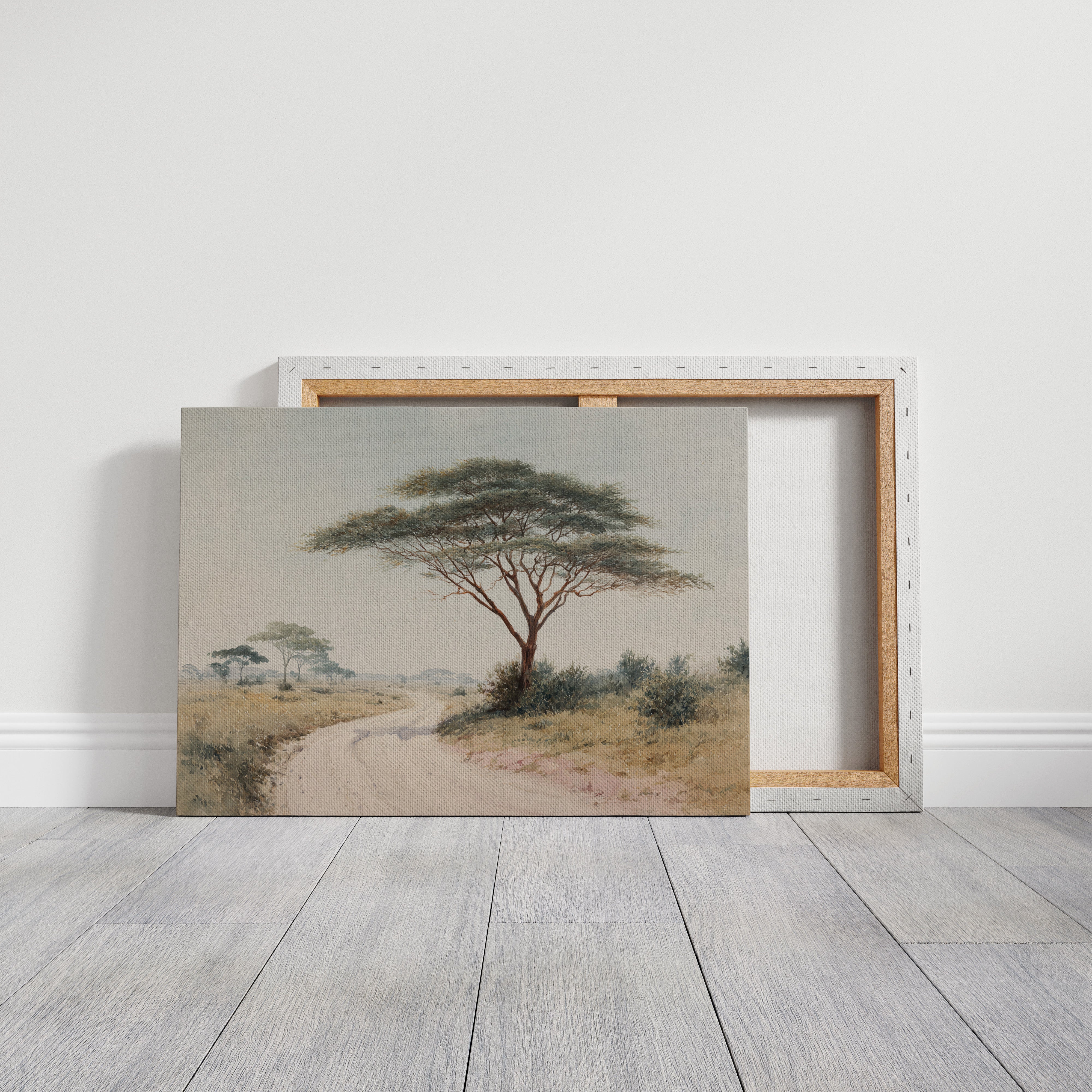 Acacia Bends Over Winding Path