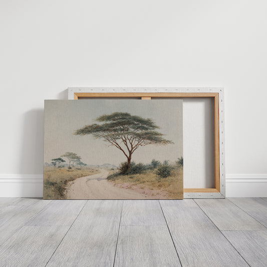Acacia Bends Over Winding Path