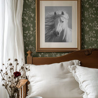 Wild Spirit Runs Through Silver Light