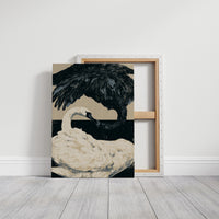 Black-Necked Swan on the Waterline