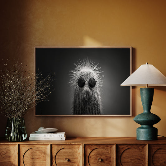 Too Cool for Prickles