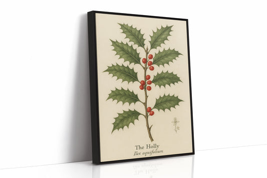 The Holly Botanical Art Print