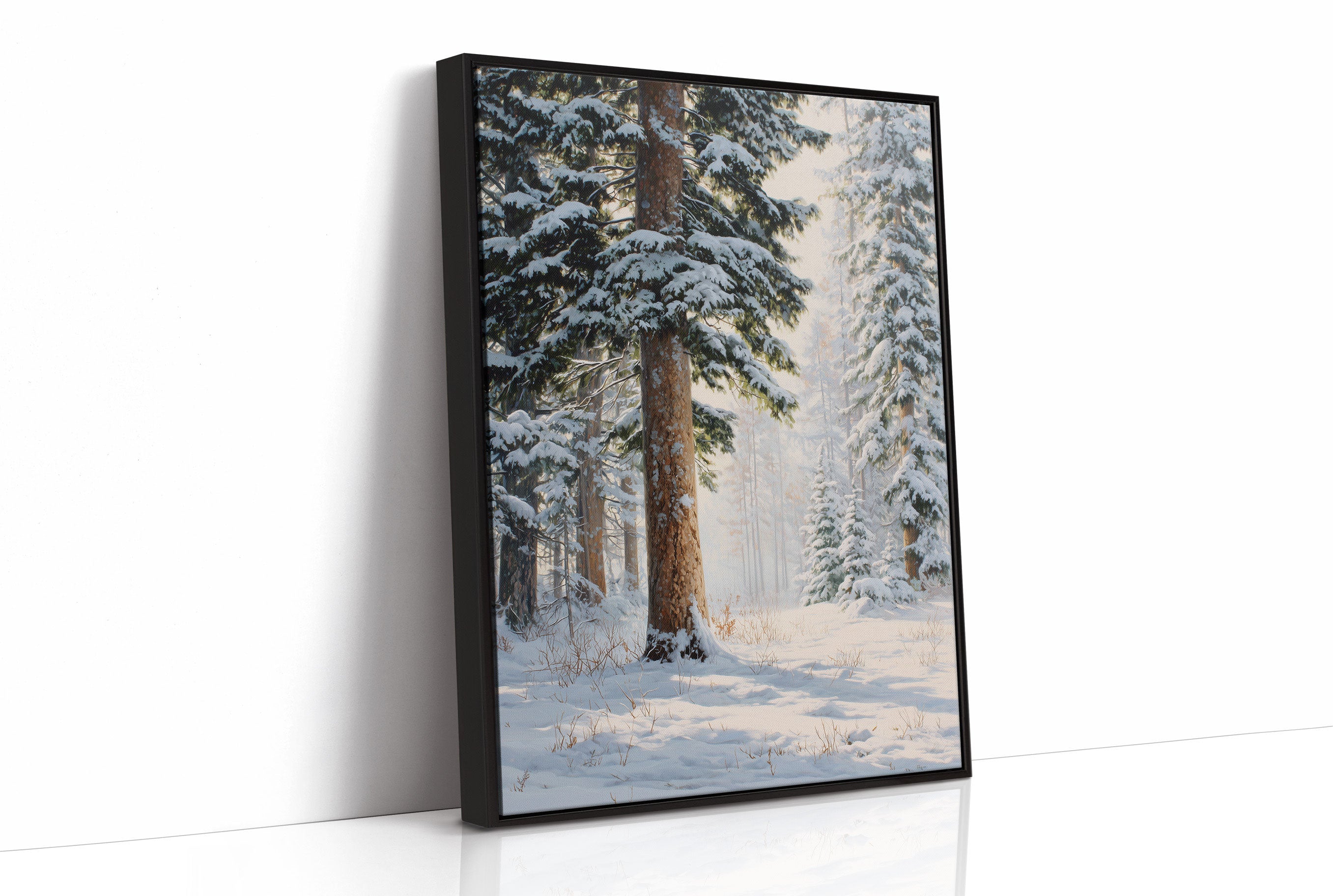 Snow Dusts Ancient Forest Paths