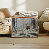 Winter Forest Holds Noble Secret