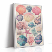 Treasures From Tidal Shores