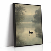 Lone Swan Crosses Misty Waters