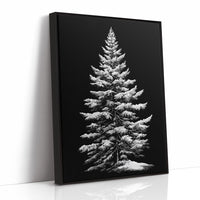 Silent Pine Stands In Midnight