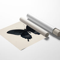 Midnight Sails On Velvet Wings