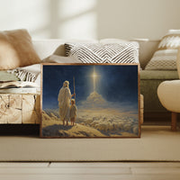 Starlight Guides The Gentle Flock