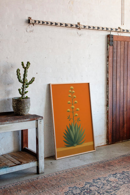 Blooming Agave