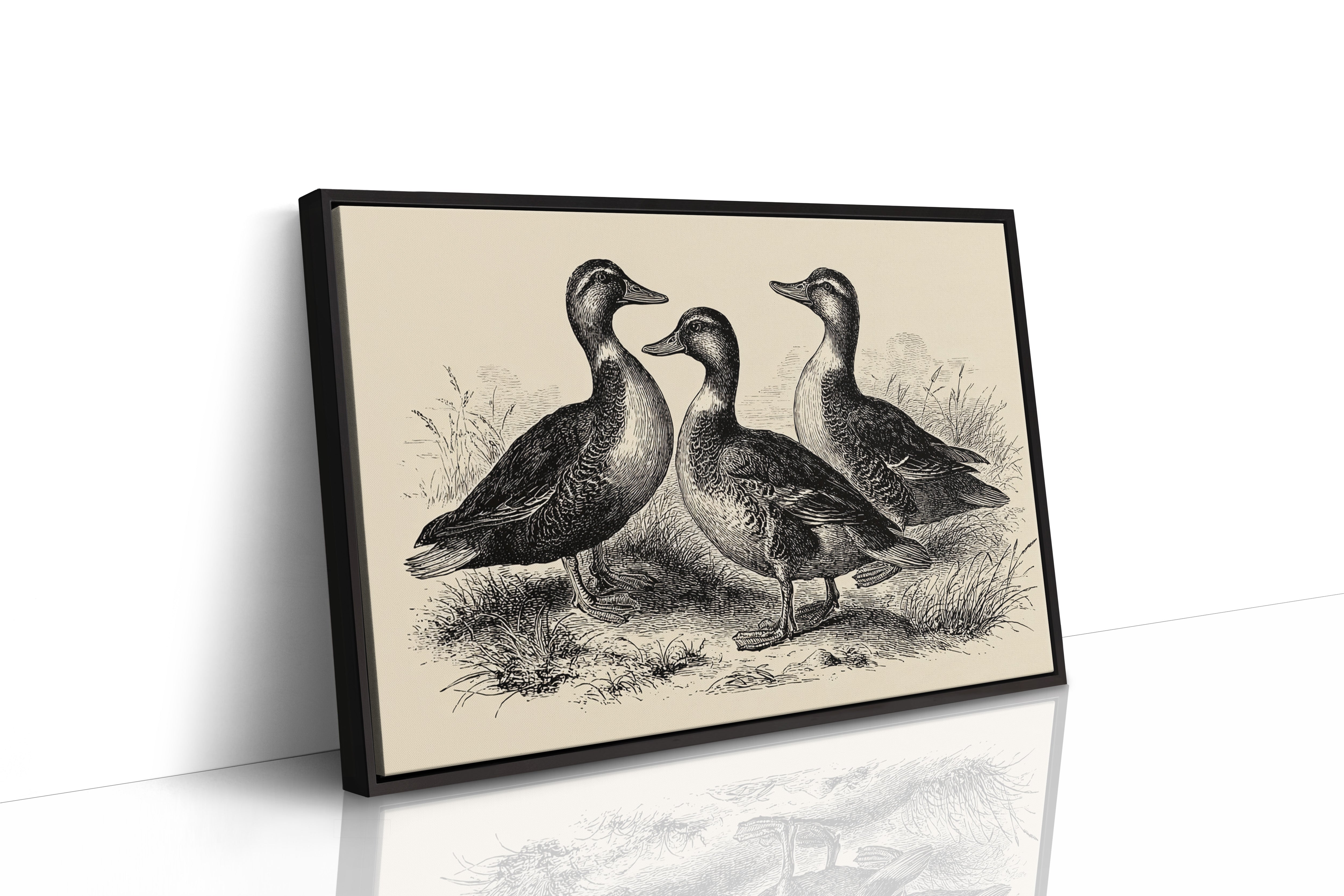 Gathering of Gentle Companions
