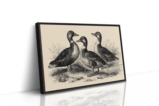 Gathering of Gentle Companions