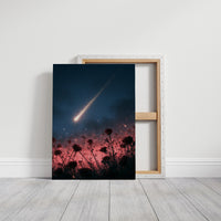 Shooting Star Over Rose Field