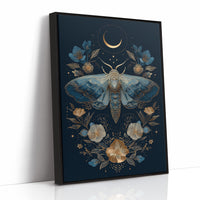 Midnight Moth Dances With Stars