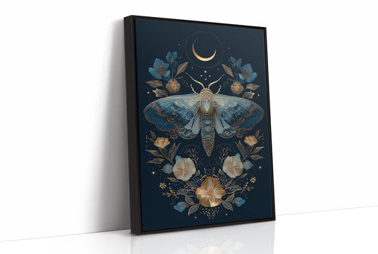 Midnight Moth Dances With Stars