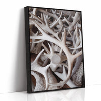 Antlers Tell Tales Of Winter