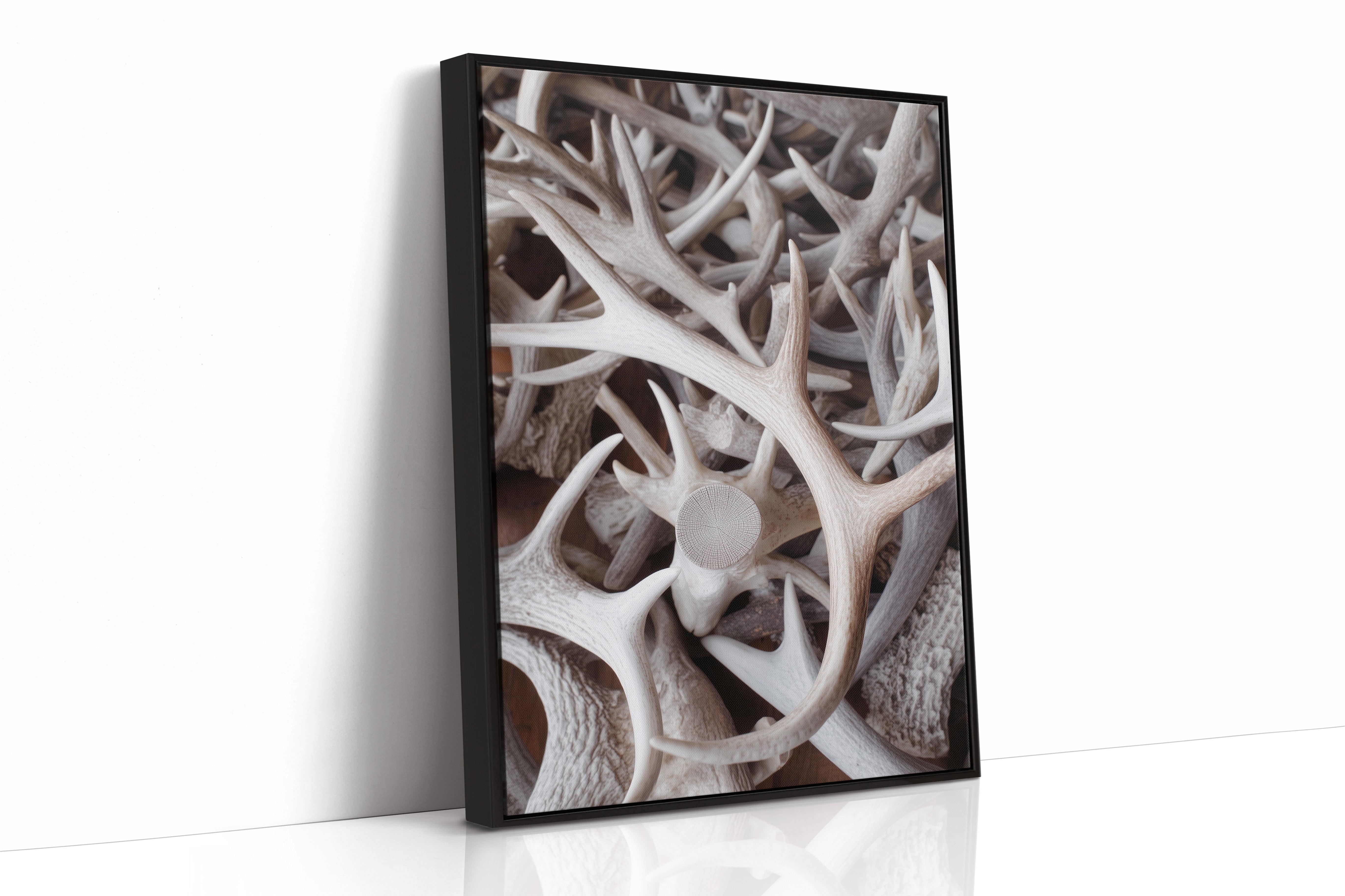 Antlers Tell Tales Of Winter