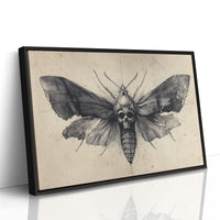 Moth's Lament Over Forgotten Tales