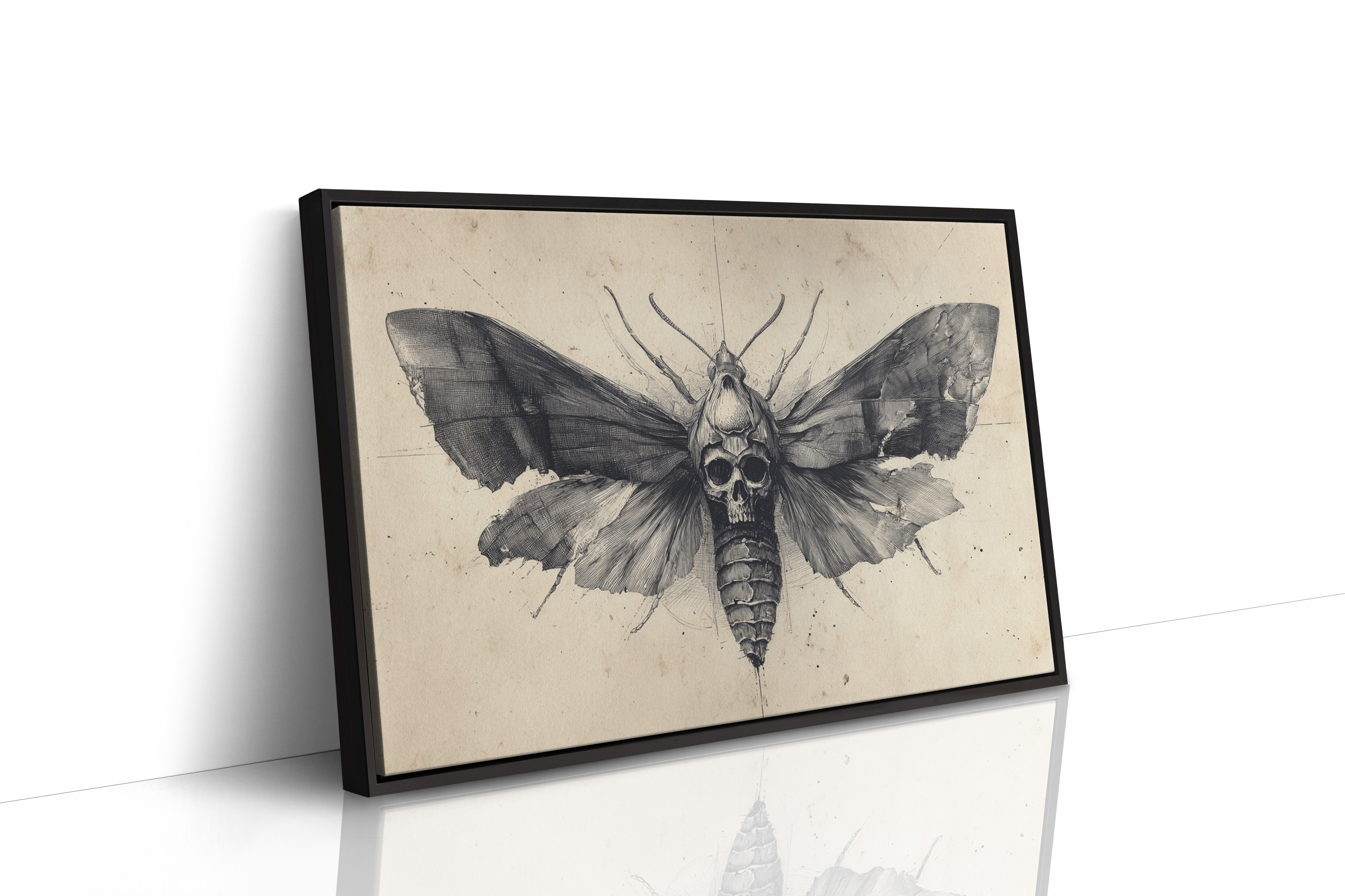 Moth's Lament Over Forgotten Tales