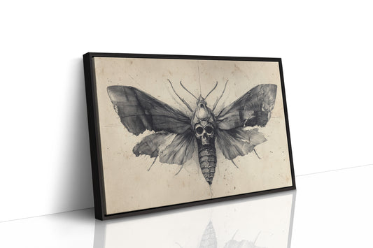 Moth's Lament Over Forgotten Tales