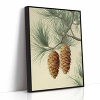 Pine Cones Dance In Winter's Light