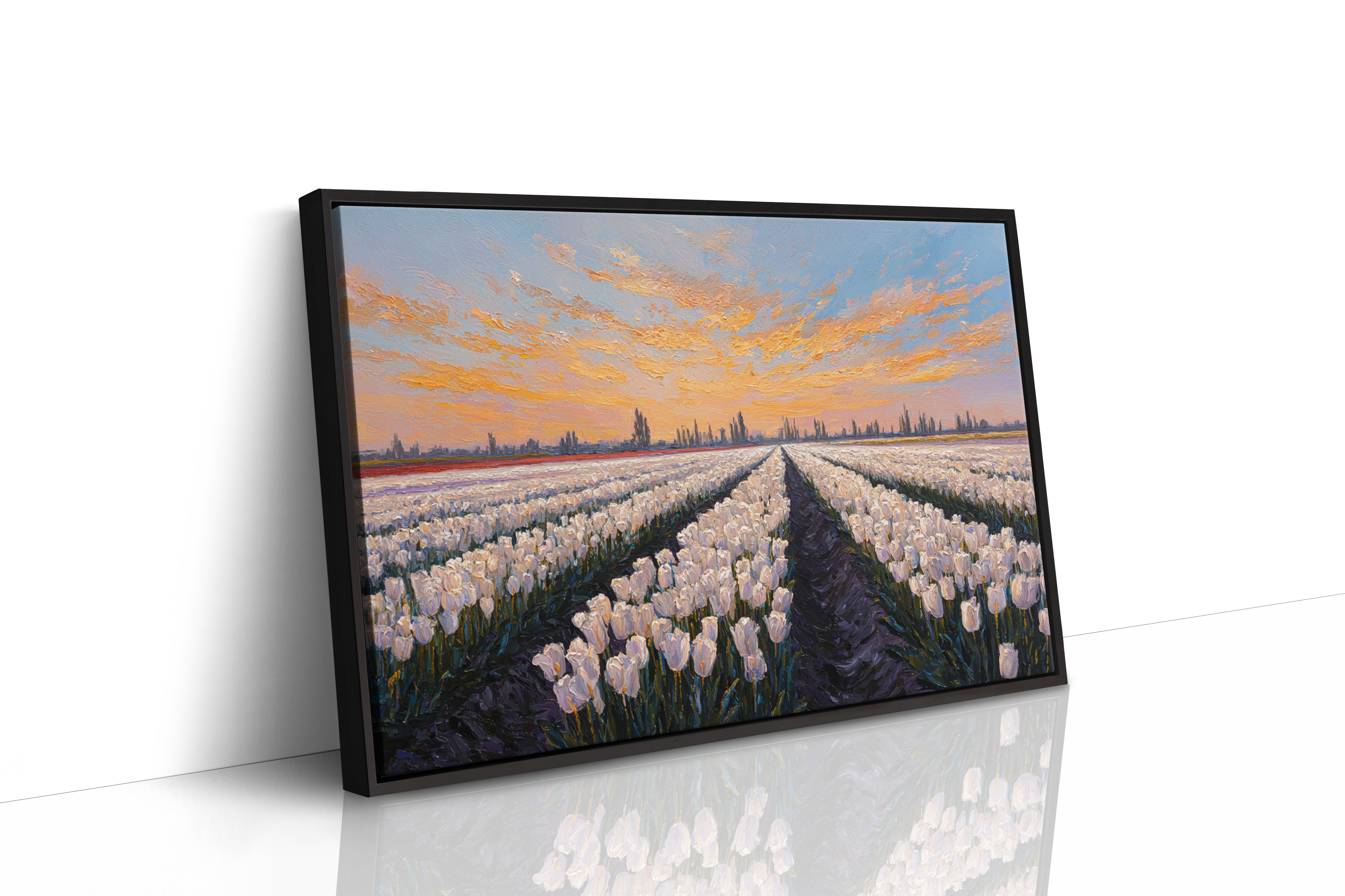 Fields of Light and Bloom