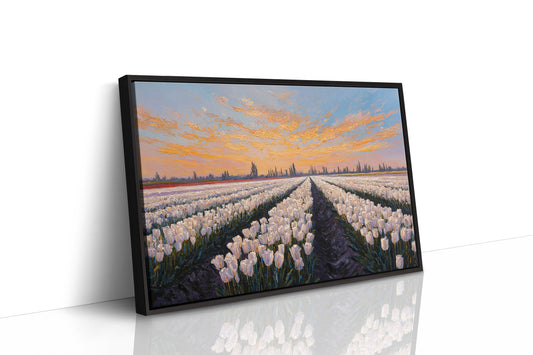 Fields of Light and Bloom