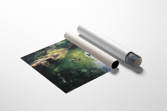 Mallards Find Their Secret Pool