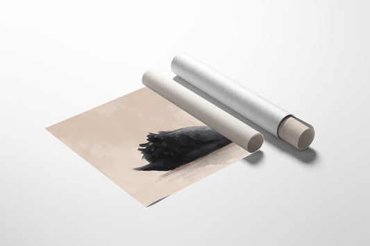 Black Swan Glides Through Blush Dawn