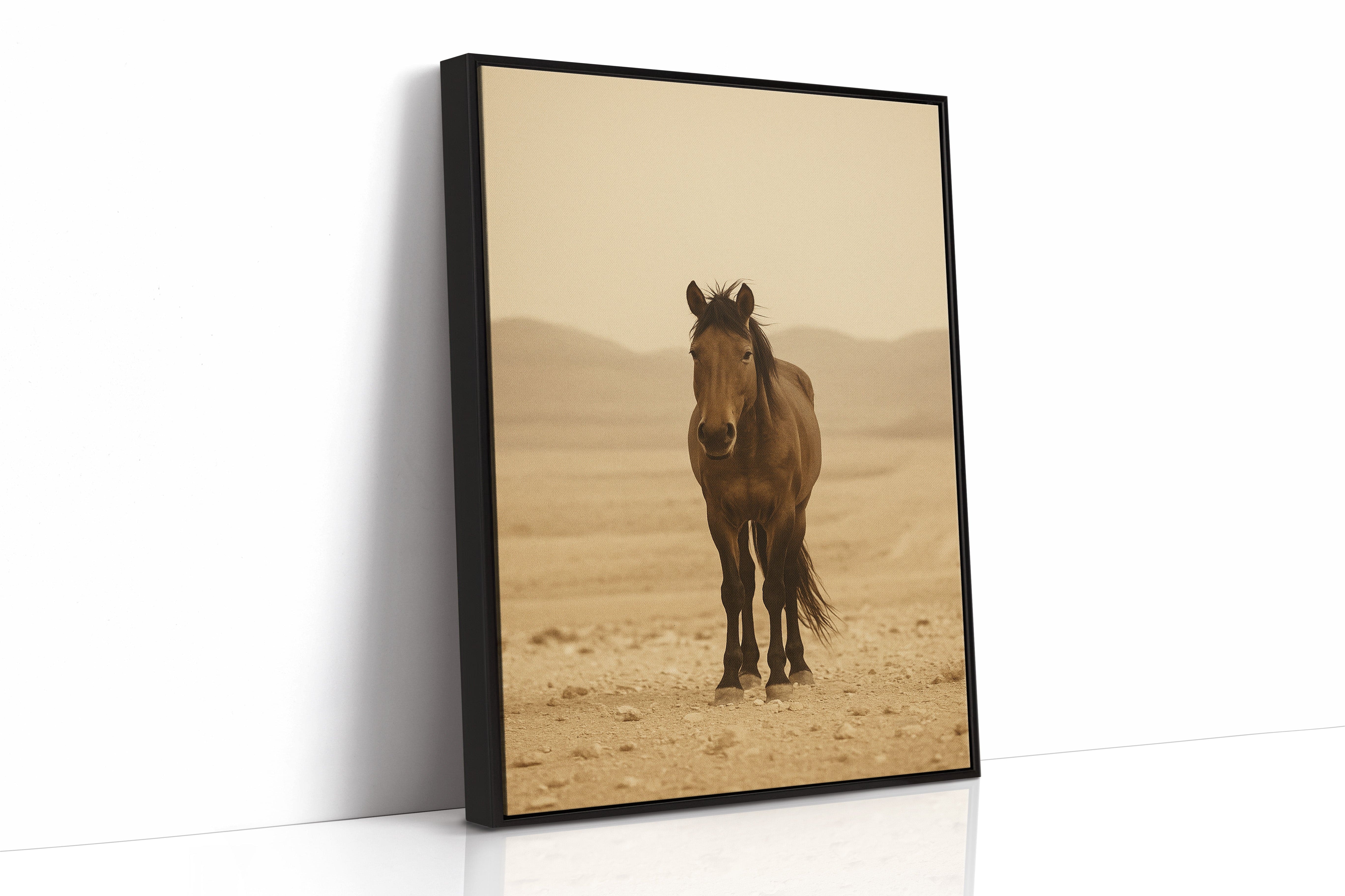 Lone Desert Mustang
