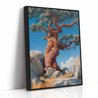 Ancient Pine Tells Mountain Stories