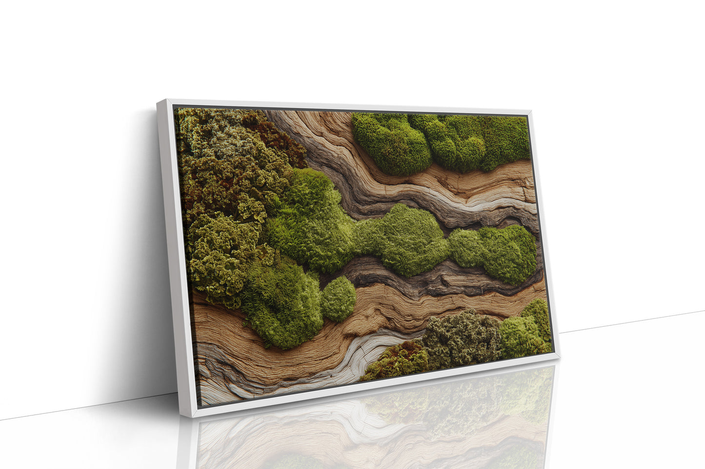 Where Moss Remembers Ancient Wood