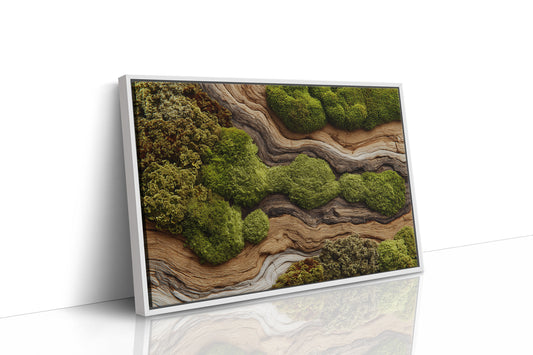 Where Moss Remembers Ancient Wood