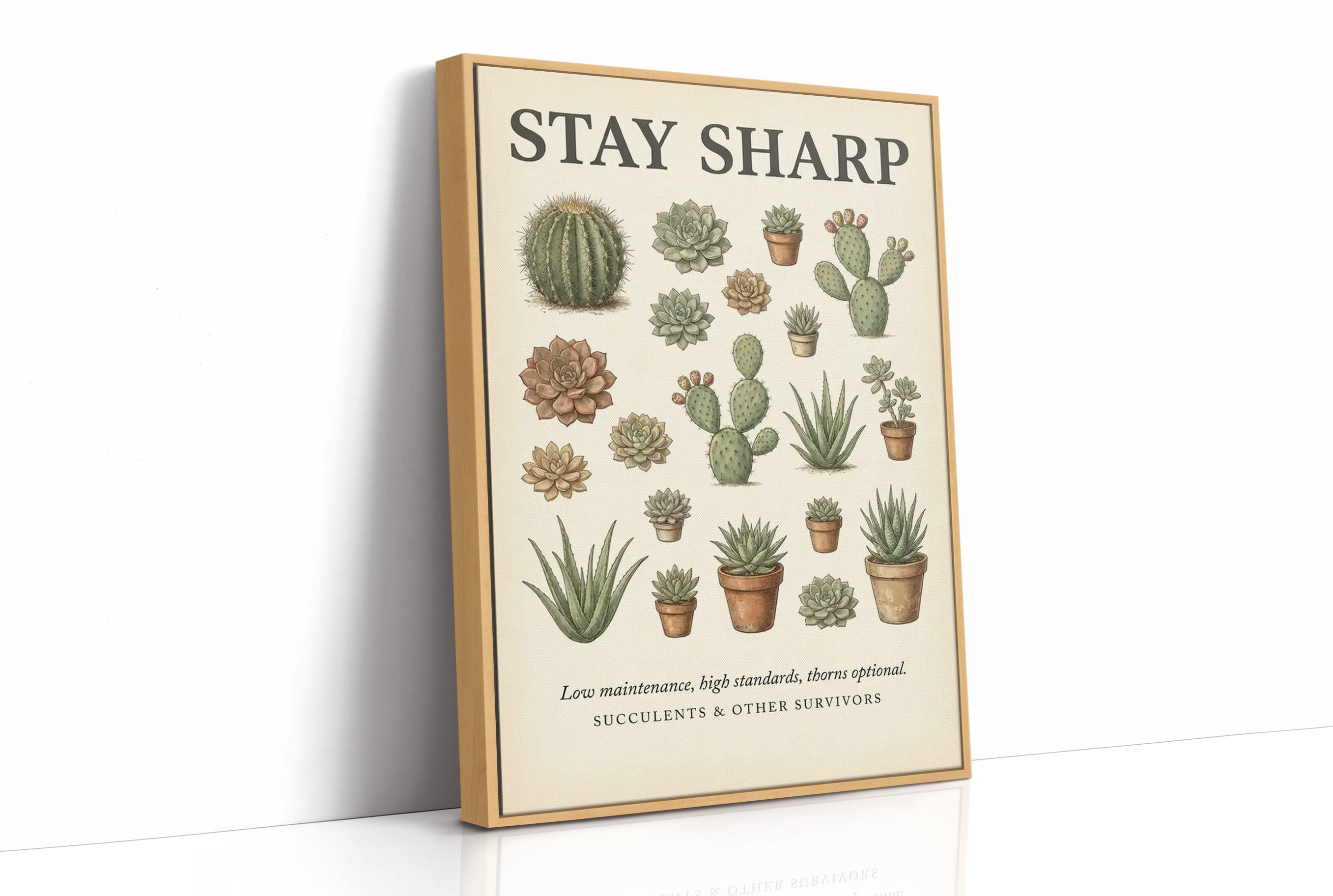 Stay Sharp: Vintage Succulent & Cactus Chart