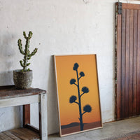 Desert Century Plant Meets Dusk