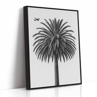 Palm Crown and Passing Plane