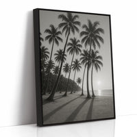 Palm Shadows at Sunrise
