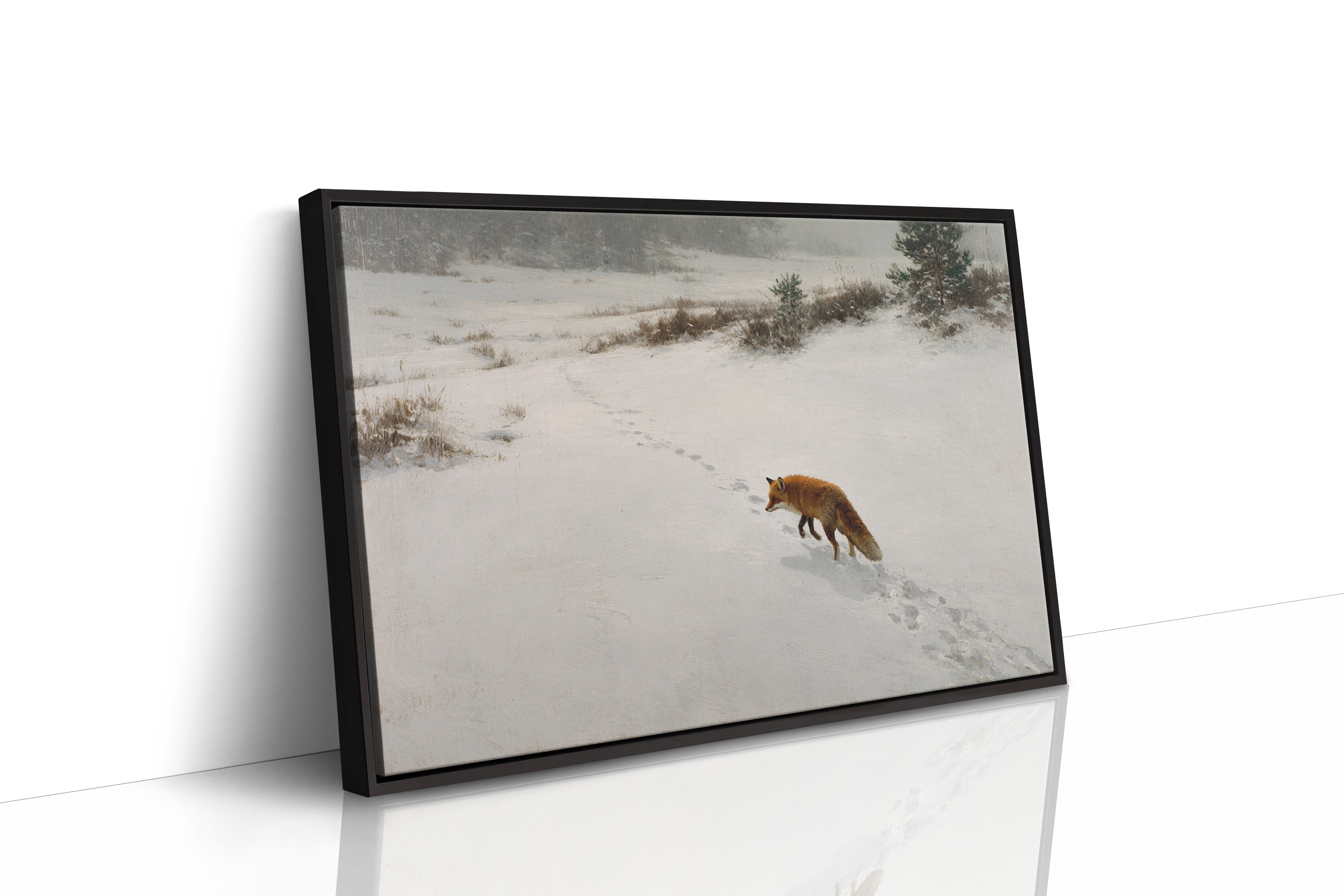 Fox Tracks Through Winter's Canvas