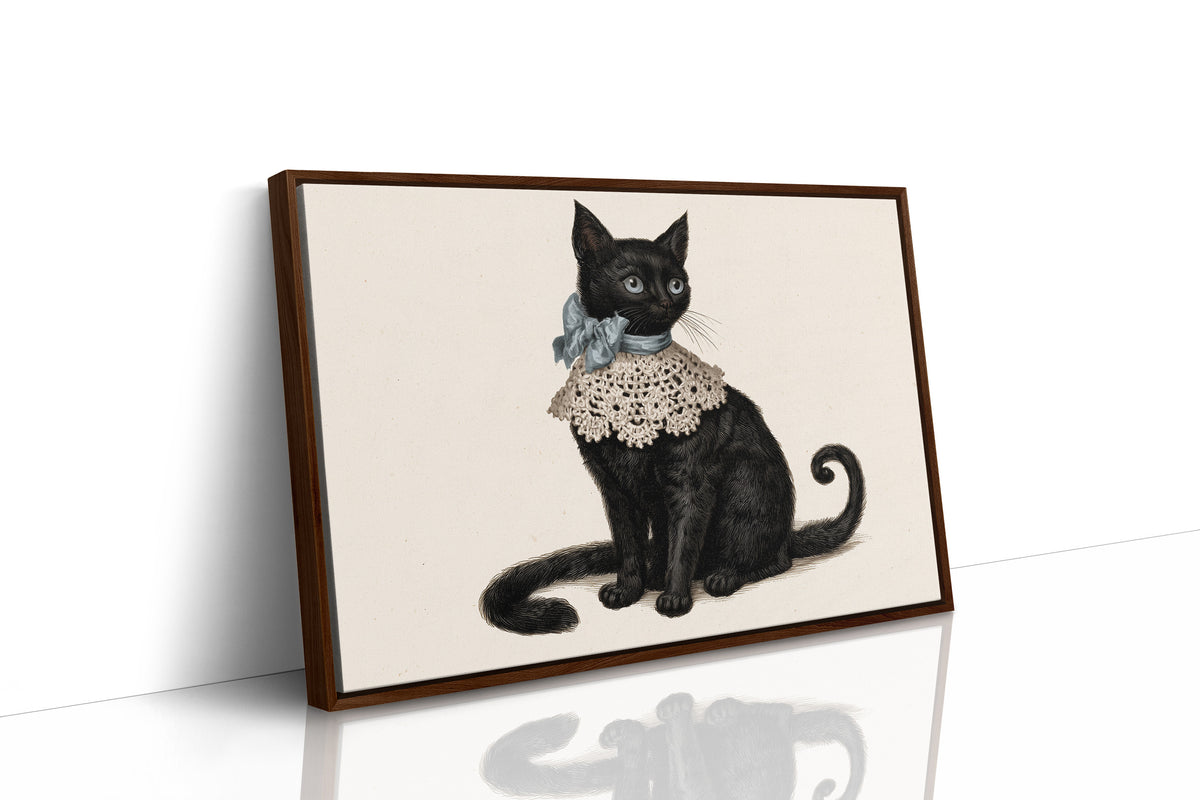 Sunday Best, Extra Tail Included