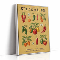 Spice of Life: Vintage Chili Pepper Chart
