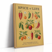 Spice of Life: Vintage Chili Pepper Chart