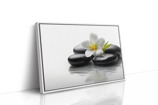 Plumeria Finds Peace On Stones