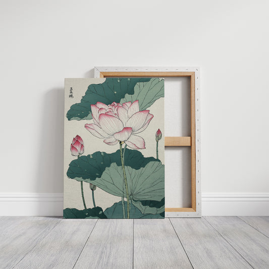 Lotus Blooms Between Library Lines