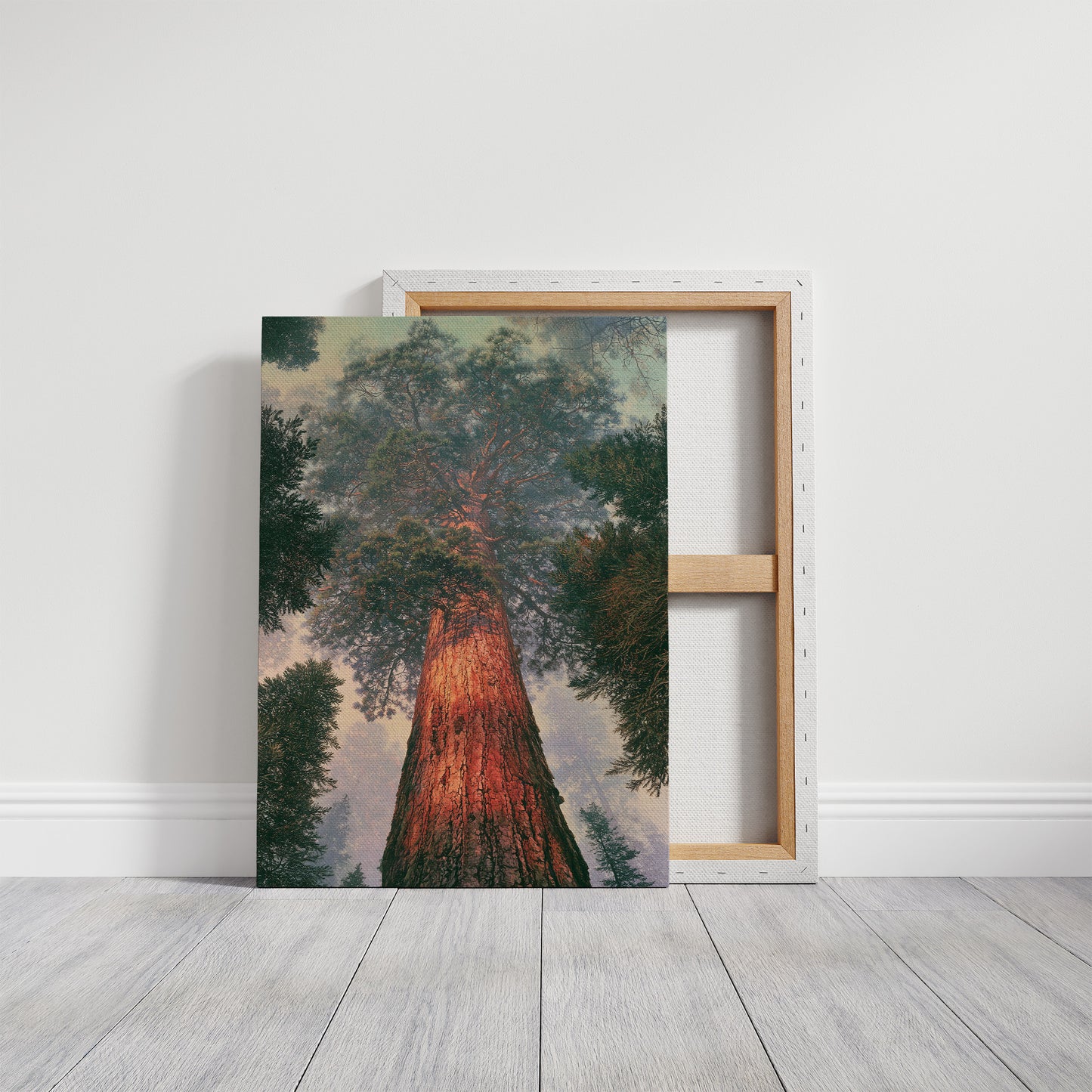Cathedral of the Ancient Pine