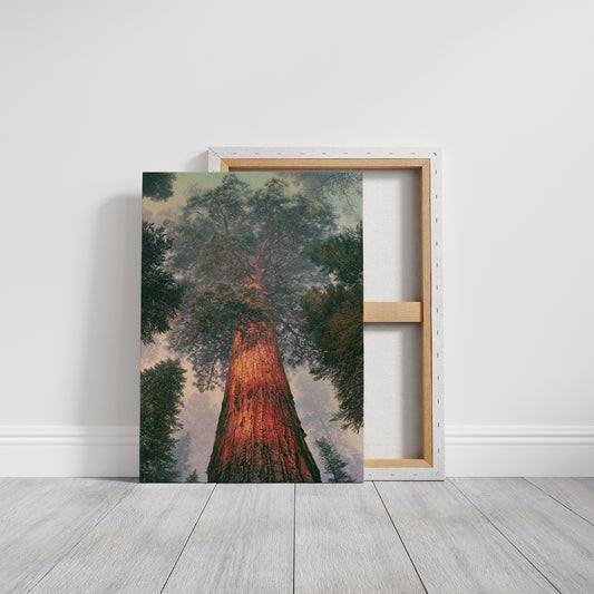 Cathedral of the Ancient Pine